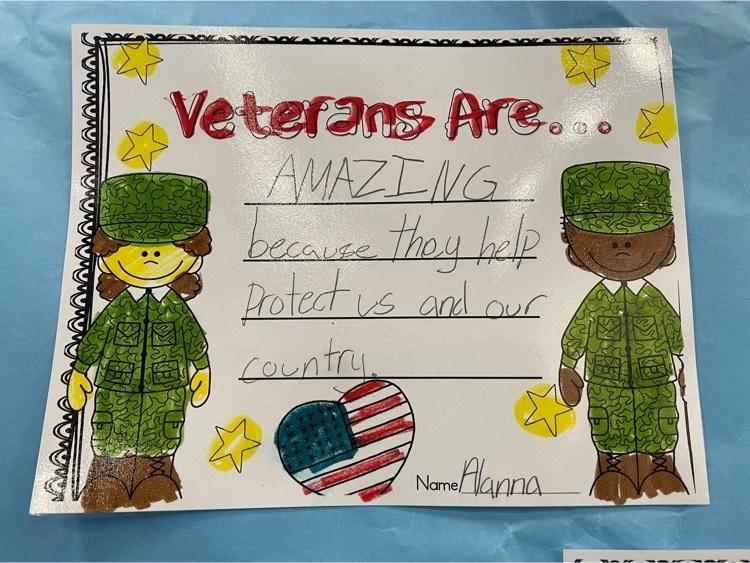 veterans are amazing because they help protect us and our country