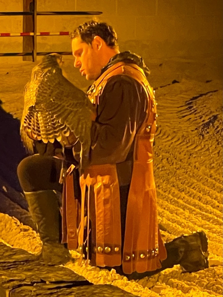 3rd graders at Medieval Times