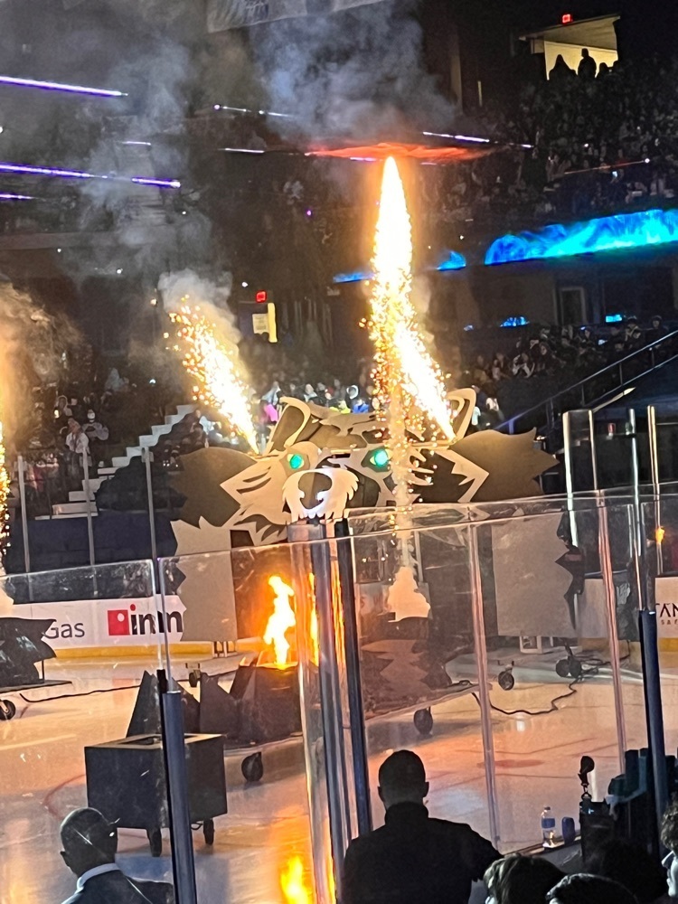 SO excited for the Wolves game