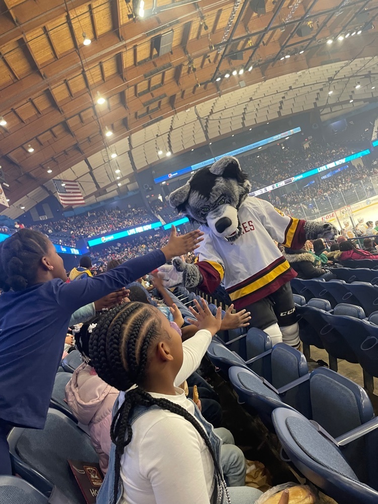 Fun at the Wolves game! 