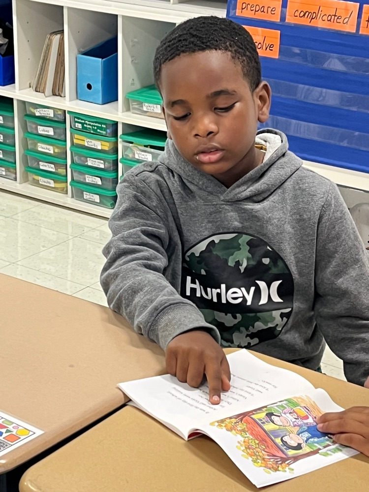 Partner Reading
